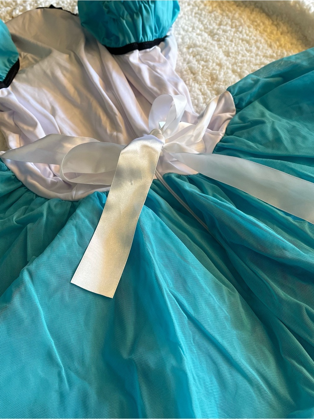 Alice In Wonderland Costume - Picture 5 of 5